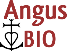 angusbio-camargue.fr